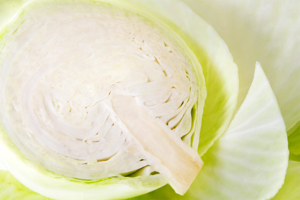 Weißkohl mit Strunk